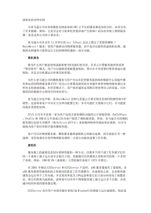 虚拟化的多种实例.docx