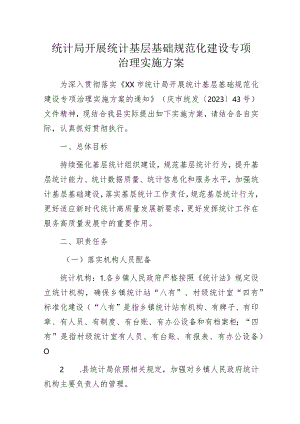 统计局开展统计基层基础规范化建设专项治理实施方案.docx