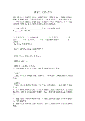 股东出资协议书.docx