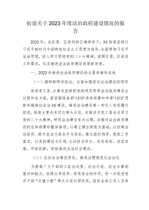 街道关于2023年度法治政府建设情况的报告.docx