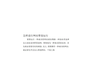 网站策划运营的步骤和技巧.docx