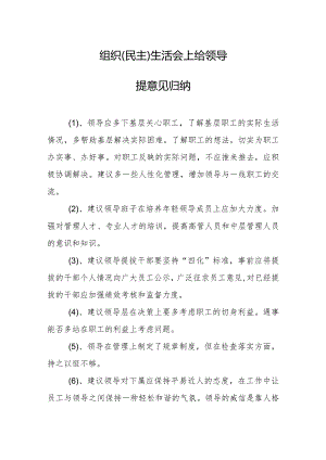 组织（民主）生活会上给领导提意见归纳.docx