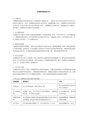 自嗨锅营销策略分析.docx