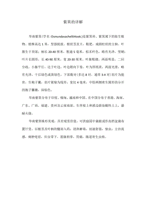 紫萁紫萁科紫萁属植物.docx