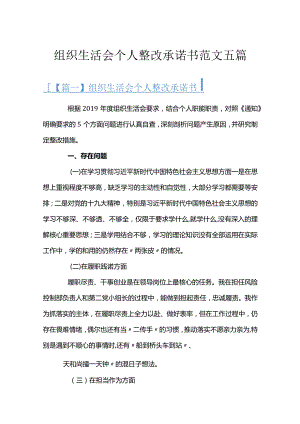 组织生活会个人整改承诺书范文五篇.docx