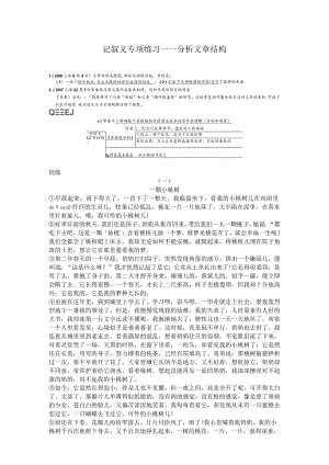 记叙文专项练习——分析文章结构.docx