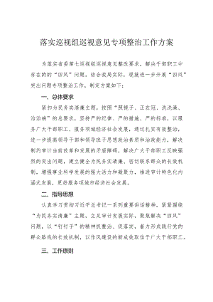 落实巡视组巡视意见专项整治工作方案.docx