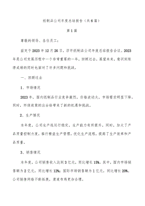 纸制品公司年度总结报告（共6篇）.docx