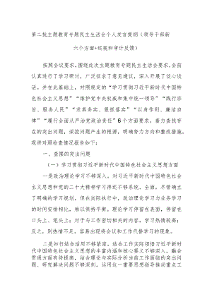 第二批主题教育专题民主生活会个人发言提纲（领导干部新六个方面+巡视和审计反馈）.docx