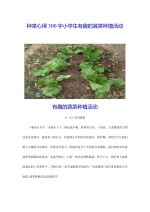 种菜心得300字小学生.docx
