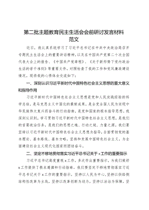 第二批主题教育民主生活会会前研讨发言材料.docx