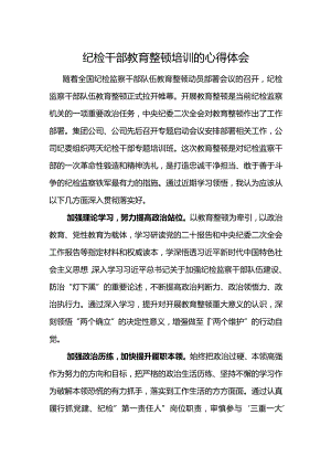纪检干部教育整顿培训的心得体会.docx