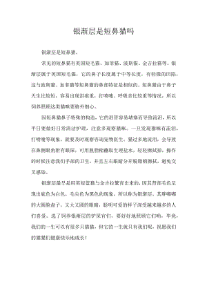 银渐层是短鼻猫吗.docx