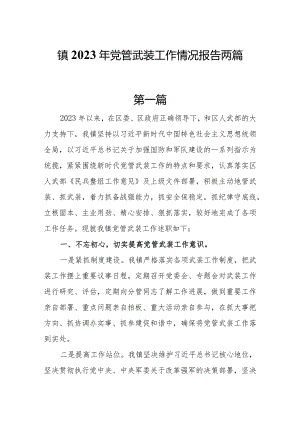 镇2023年党管武装工作情况报告两篇.docx