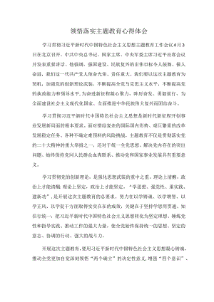 领悟落实主题教育心得体会.docx