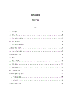 青梅酒项目策划方案.docx