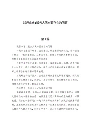 （5篇）践行宗旨、服务人民方面存在的问题.docx