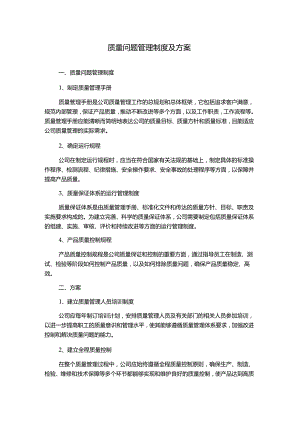 质量问题管理制度及方案.docx