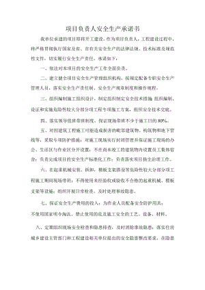 项目负责人安全生产承诺书.docx