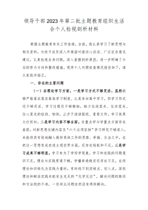 领导干部2023年第二批主题教育组织生活会个人检视剖析材料.docx