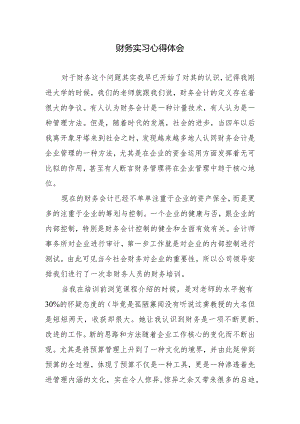 财务实习心得体会.docx