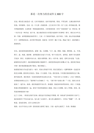 那是一次努力的尝试作文800字.docx