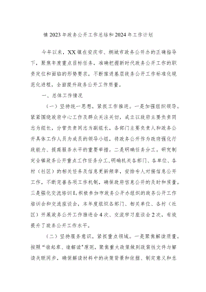 镇2023年政务公开工作总结和2024年工作计划.docx