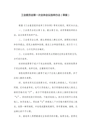 （工会换届）工会委员会第一次全体会议选举办法.docx