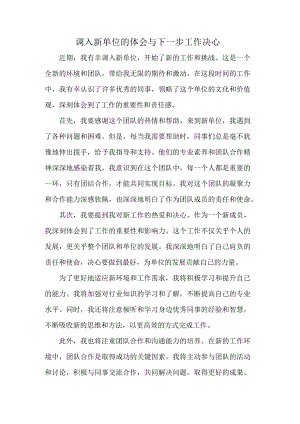 调入新单位的体会与下一步工作决心.docx