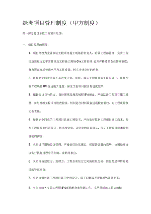 项目管理制度规定.docx