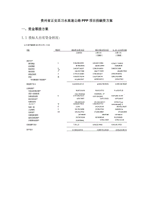 项目投融资方案改进总览.docx