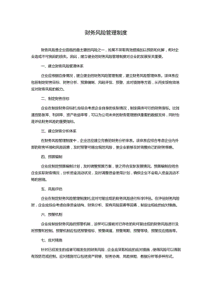财务风险管理制度.docx