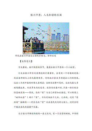 银川平原：人鸟和谐的乐园.docx