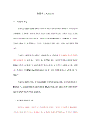 软件项目风险全程管理.docx