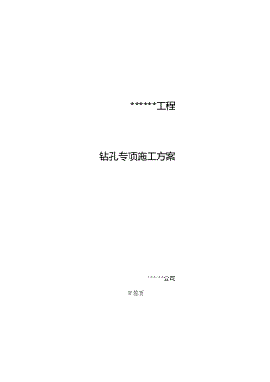 钻孔专项的施工组织方案.docx