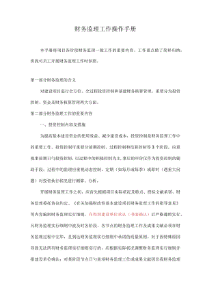 财务监理操作指南.docx