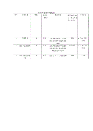 违规问题整改进度表.docx