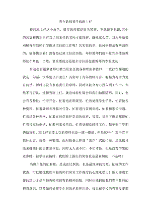 青年教师要学做班主任.docx