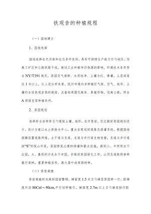 铁观音的种植指南.docx