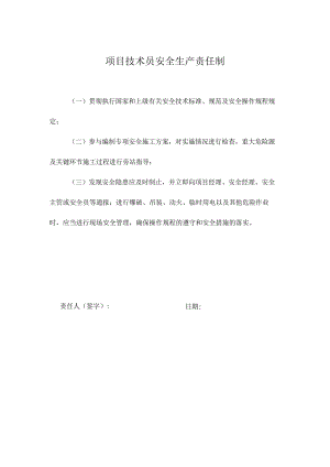 项目技术员安全生产责任制.docx