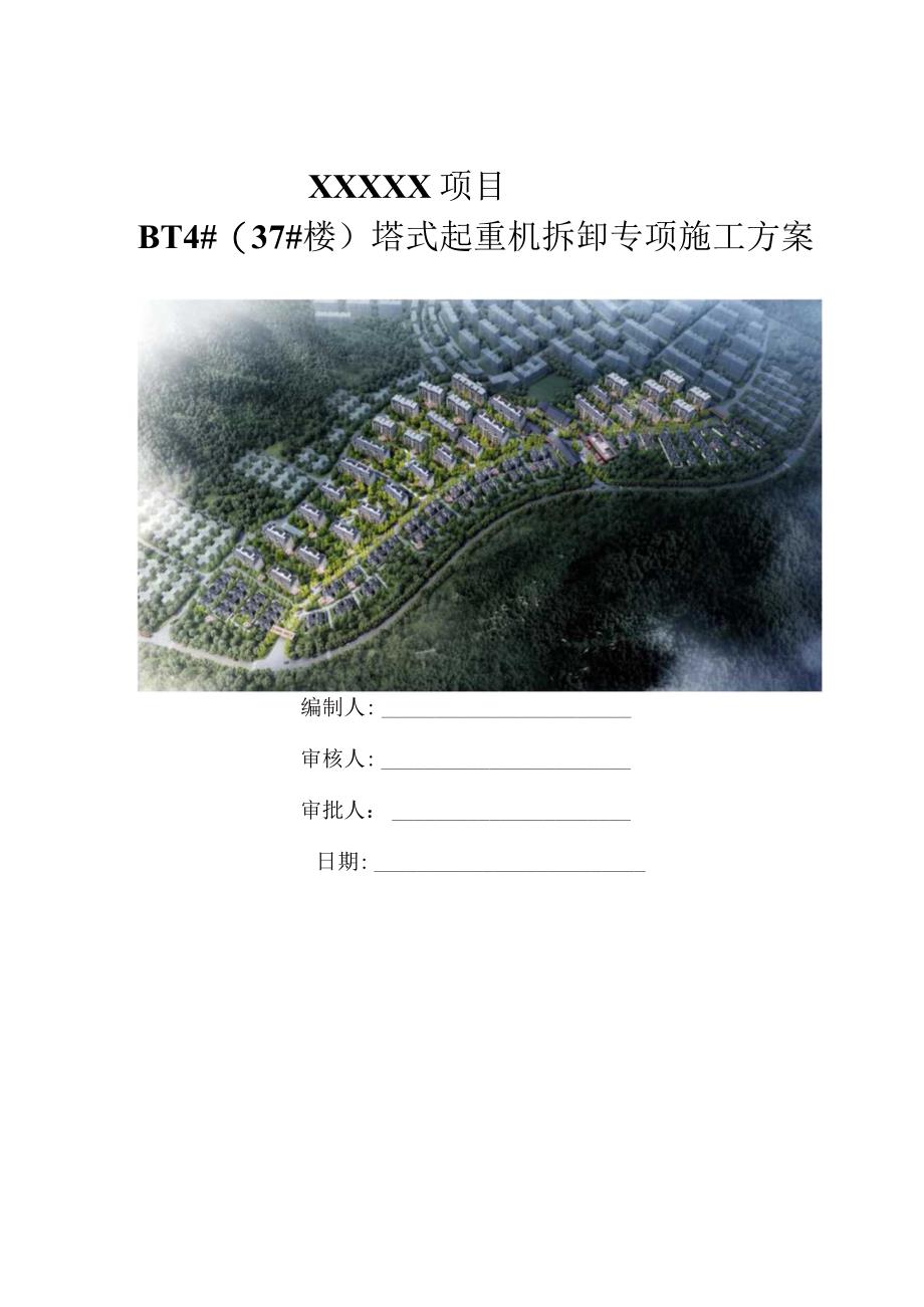 (10316-15)房建项目塔吊拆卸方案.docx_第1页
