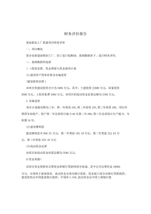 财务评价报告.docx