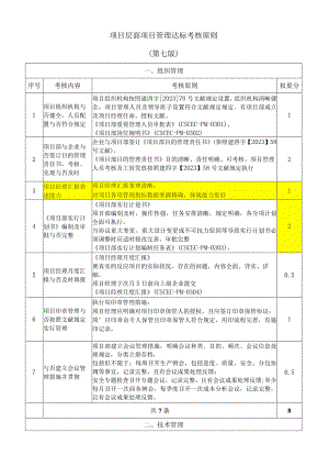 项目管理达标考核标准最新版.docx