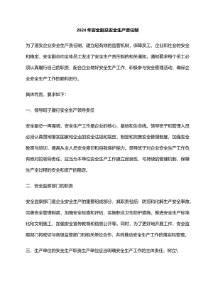 2024年安全副总安全生产责任制.docx