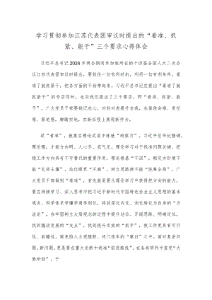 学习贯彻参加江苏代表团审议时提出的“看准、抓紧、能干”三个要求心得体会.docx