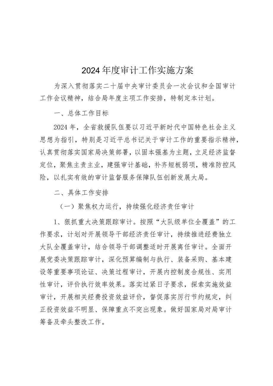2024年审计工作方案.docx_第1页