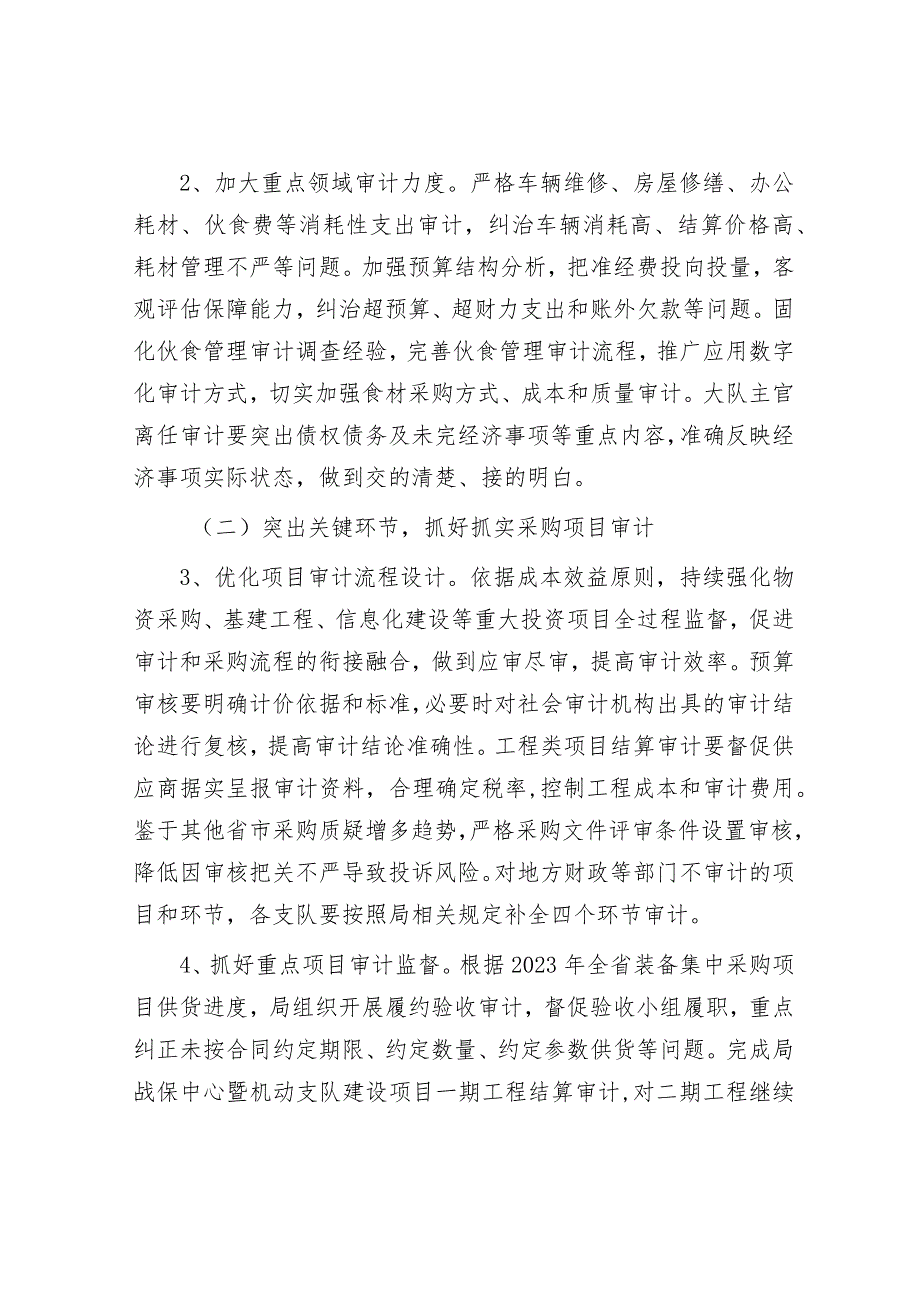 2024年审计工作方案.docx_第2页