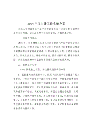 2024年审计工作方案.docx
