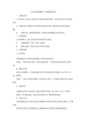 《小草长在哪里》中班教学设计.docx