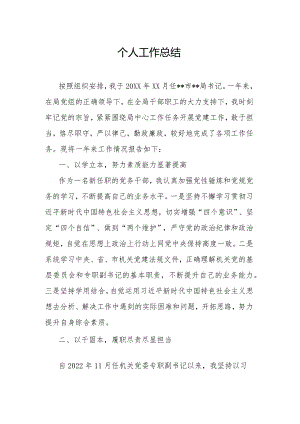 个人工作总结.docx